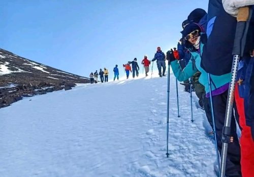 d4dd2a5b-d596-487b-8a88-dcbc5cd23d99